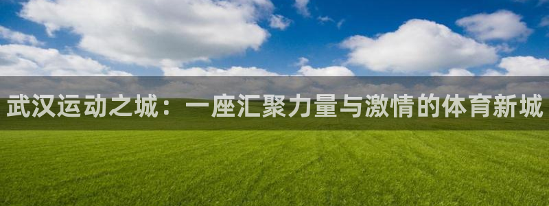 3377体育官方正版app集团简介:武汉运动之城:一座汇聚力