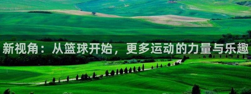 3377体育官网下载平台是正规平台吗安全吗:新视角:从篮球开