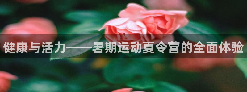 3377体育官网下载招商电话号码查询是多少:健康与活力——暑